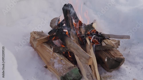 Wallpaper Mural Firewood campfire burning in a small snow pit during winter. Bright flames rise between wooden logs while the fire burns outdoors in cold snowy conditions. High quality 4k footage Torontodigital.ca