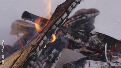 Wallpaper Mural Close view of bright flames burning wooden logs in a small winter campfire. Smoke rises between the firewood while the fire burns inside a snow pit outdoors. High quality 4k footage Torontodigital.ca