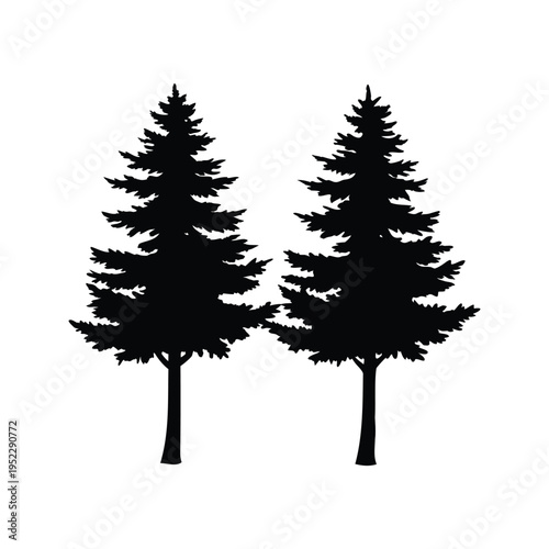 two tall pine trees with branches and needles silhouette vector illustration, two pine tree silhouette vector illustration