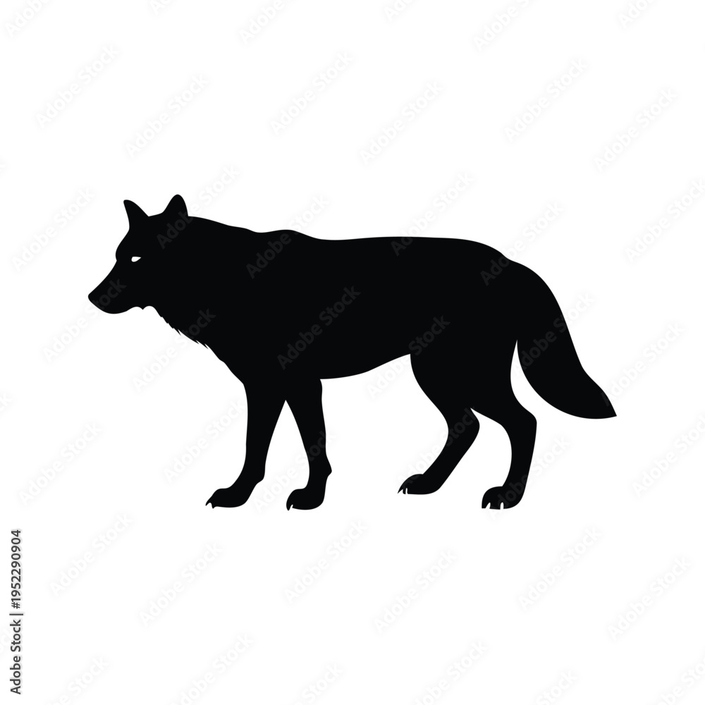 Obraz premium Silhouette of a wolf standing on all fours, black and white vector illustration design, wolf marking territory silhouette vector illustration