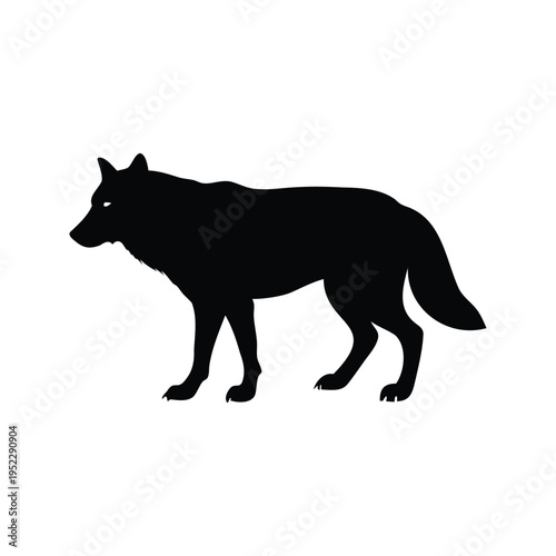 Silhouette of a wolf standing on all fours, black and white vector illustration design, wolf marking territory silhouette vector illustration