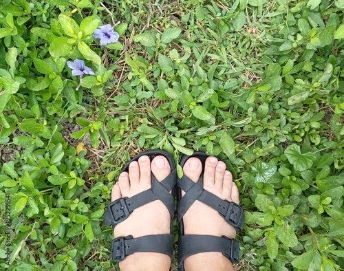 Shoes women on the grass 