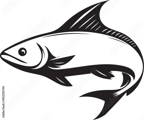Fish vector illustration on white background
