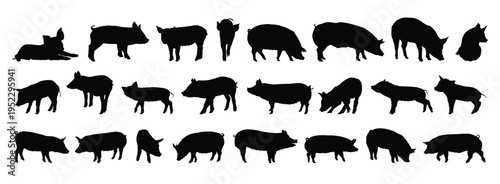 pig and piglet silhouette set. pig and piglet isolated farm animal silhouette icon vector collection