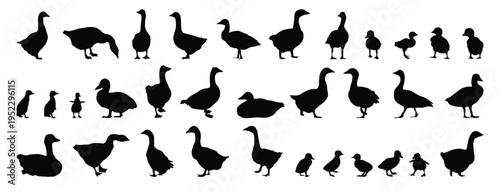 goose and gosling silhouette set. goose and gosling isolated farm animal silhouette icon vector collection