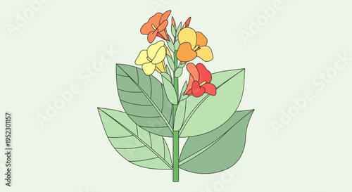 Stylized illustration of a flowering plant with colorful blooms and large green leaves