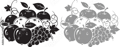 Black and white illustration of grapes and a grapevine cluster in contrasting styles