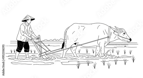 Man plowing field with oxen slowly.