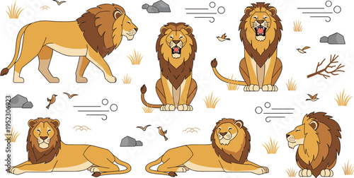 Majestic lion vector illustration set featuring male lions in walking sitting and roaring poses with savanna grass rocks and birds for wildlife designs.