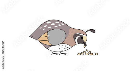Cartoon quail feeding on seeds, with patterned wings, small tuft, and a simplistic design