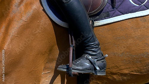 Canvas-taulu Learn more about a particular aspect of horse riding