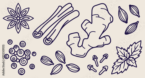 herbal roots illustration sketch, medicinal plant drawing set, botanical herb roots design, natural medicine illustration pack, plant root line art collection, herbal botanical artwork, roots illustra