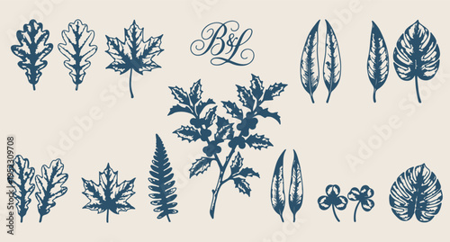 botanical leaves illustration blue, vintage plant elements collection, floral leaf engraving design, botanical line art set, nature leaves illustration pack, vintage herbarium artwork, botanical illus