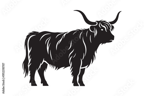 Highland Cow Scottish Cattle Black Silhouette Vector Illustration.