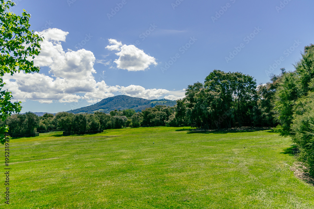 Obraz premium Sunny Meadow Near Forested Hill Under Clouds