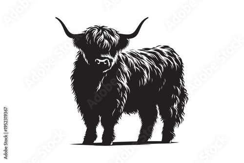 Scottish Highland cow silhouette vector. Powerful longhorn bull mascot for farm and agriculture logo design.