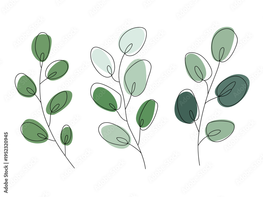 Fototapeta premium Minimalist green eucalyptus branches with black outline white background leaf
