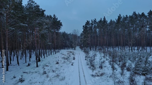 A walk along a forest path in winter.