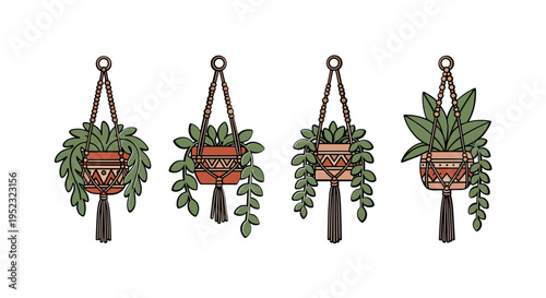 Hanging Potted Plants with Green Leaves.