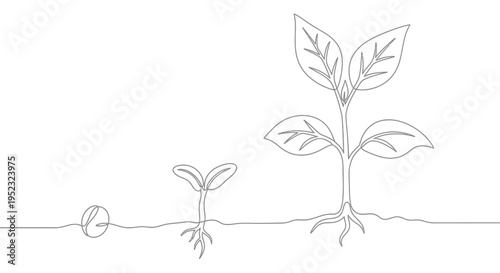 Line drawing depicting the stages of plant growth from seed to sprout