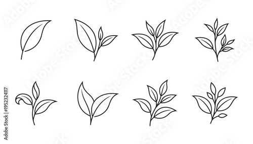 Green tea leaf icons set showing various plant growth stages and sprout branches vector illustration