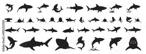 Curled shark silhouette twisting with tail in playful curved poses, varied species shapes suggesting interaction and movement, friendly yet dynamic composition for kids decor, education, and mascots