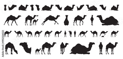 Desertthemed camel figures for marketing. Stylized camel shapes suitable for travel promotional materials. Silhouettes of camels and explorers ideal for scenic tourism advertising and postcards