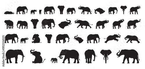 black elephant silhouette sitting or resting with relaxed trunk on ground, tranquil composition conveying stillness and contemplation, suitable for meditation, conservation, and editorial layouts