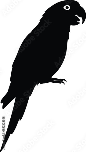 A black silhouette of a parrot perched on a branch looking to the right with a white eye and beak
