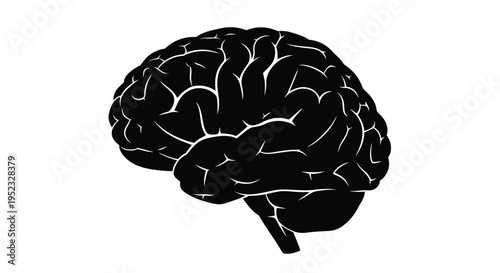 Stylized illustration of a human brain depicted in solid black
