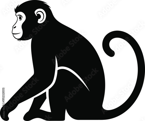 A black silhouette of a monkey sitting on its haunches with a curled tail