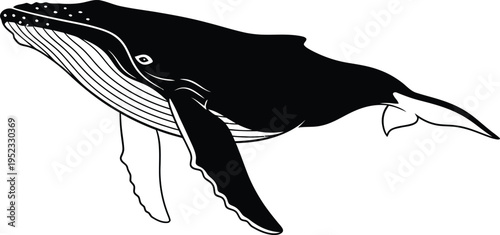 A black and white illustration of a whale swimming in the ocean