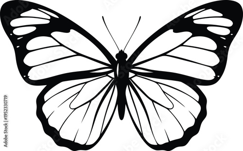 A black and white illustration of a butterfly with detailed wings and body