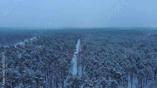 A walk along a forest path in winter.