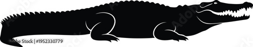 Black silhouette of a crocodile on a white background