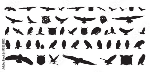 Gothic style owl shapes. Creative projects featuring ritualistic and mystical owl imagery. Unique owl silhouettes combining gothic aesthetics with seasonal themes for artistic expression