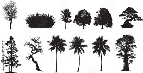 Collection of diverse tree silhouettes in black and white