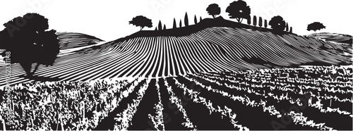 Black and white illustration of a vineyard on rolling hills
