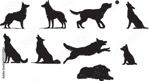 Group of dog silhouettes in different active poses and actions