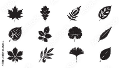 Collection of diverse plant leaves silhouettes maple oak fern ginkgo