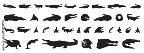 ornamental crocodile silhouettes with vintage engraving vibe for stationery, packaging, tattoo inspiration, and retro branding dramatic dark shapes evoke classic natural history plates.