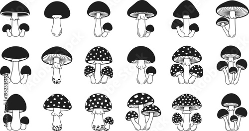 Mushroom icons, fungi silhouette designs, botanical illustration set, edible and wild mushrooms, nature pattern, organic symbol, vector graphic collection