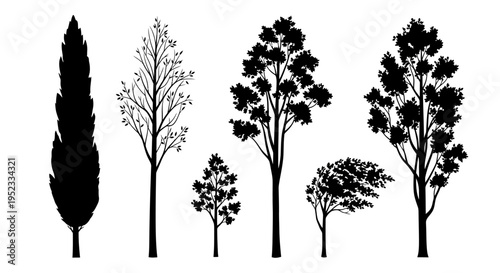 Collection of Diverse Tree Silhouettes