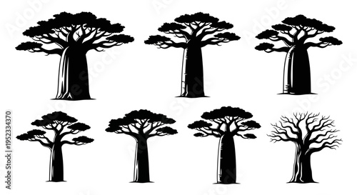 Baobab Tree Silhouettes Collection - African Flora Iconography