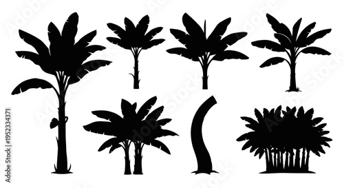 Banana Tree Silhouettes - Tropical Plant Collection