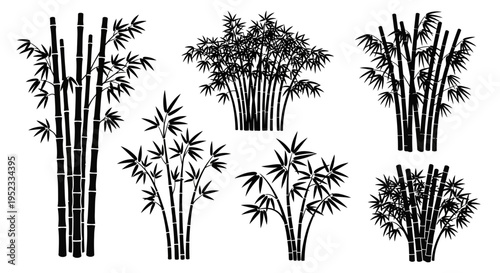 Black Bamboo Silhouettes Collection - Various Clumps and Stalks
