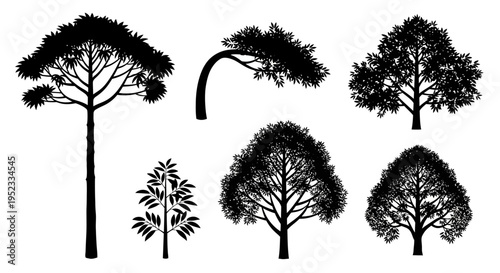Black Silhouette Trees Collection: Nature, Forest, Garden Icons and Vector Graphics