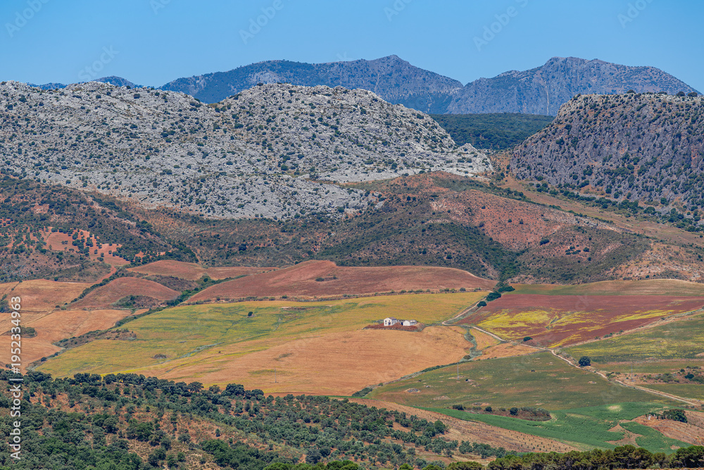 Fototapeta premium Landscape near the city of Ronda, Andalusia, Spain