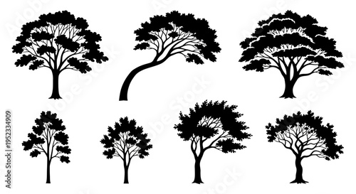 Collection of Black Silhouette Trees Icons