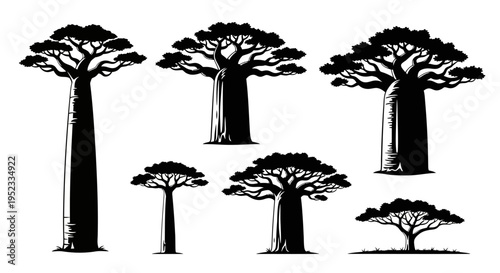 Collection of Baobab Trees Silhouette Vector Illustration